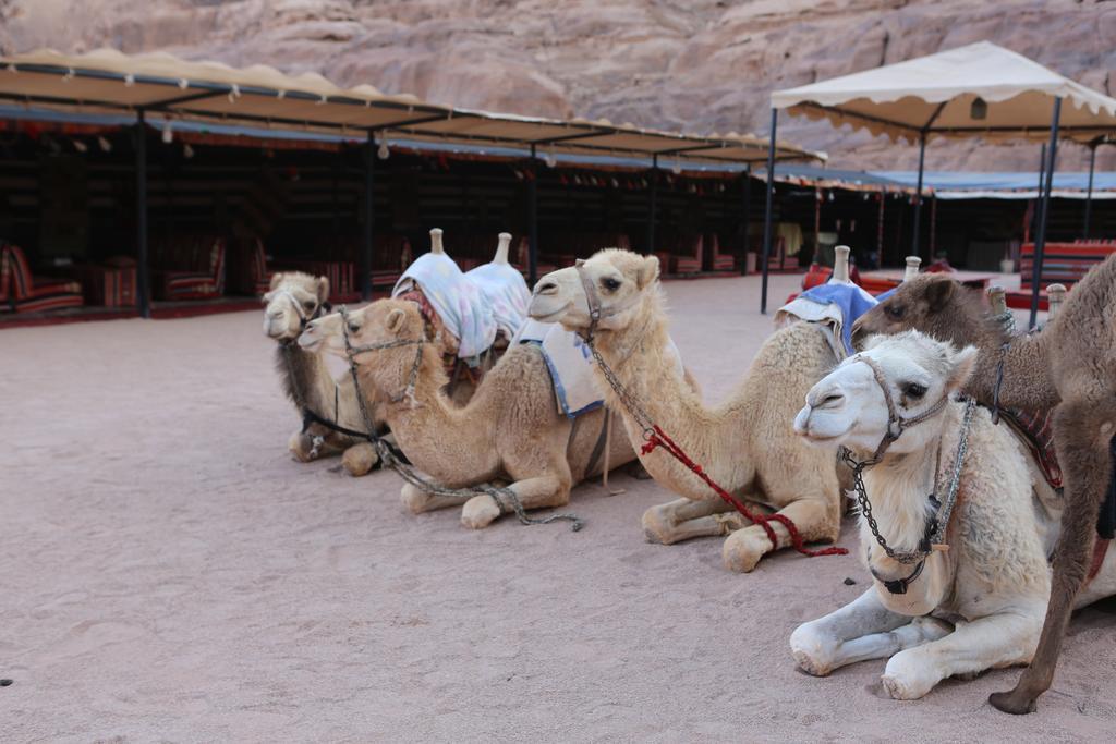Sun City Camp Wadi Rum Luaran gambar